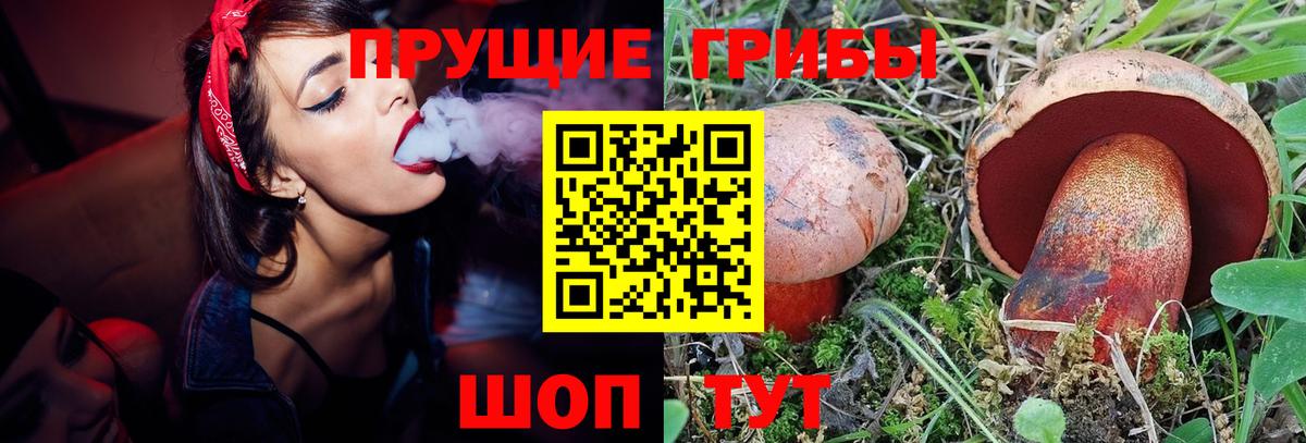 купить наркоту  Вход с VPN  Канск  Галлюциногенные грибы ЛСД  Псилоцибиновые грибы MAGIC MUSHROOMS 